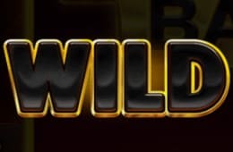 3 coins hold wild 