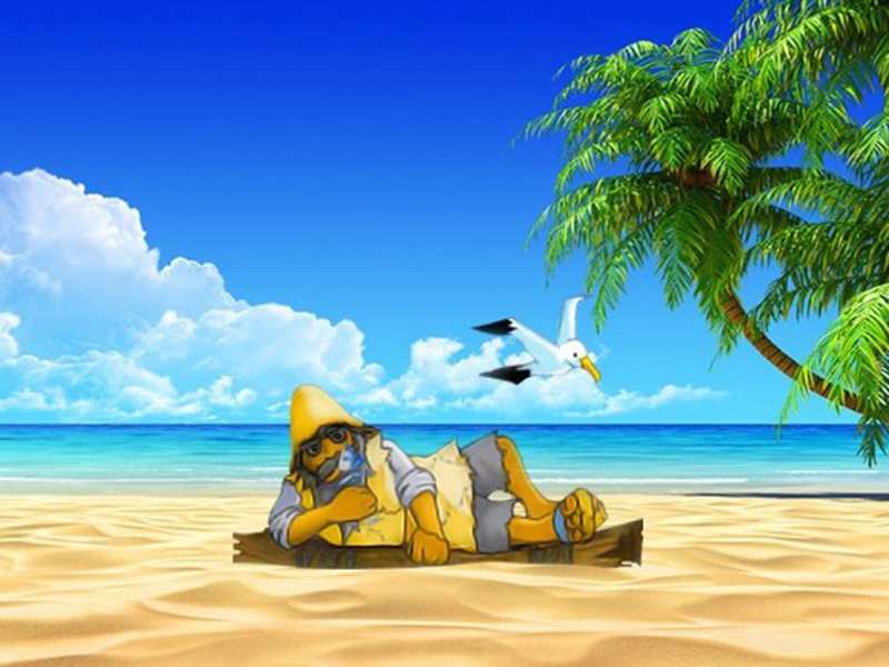 Island Island
