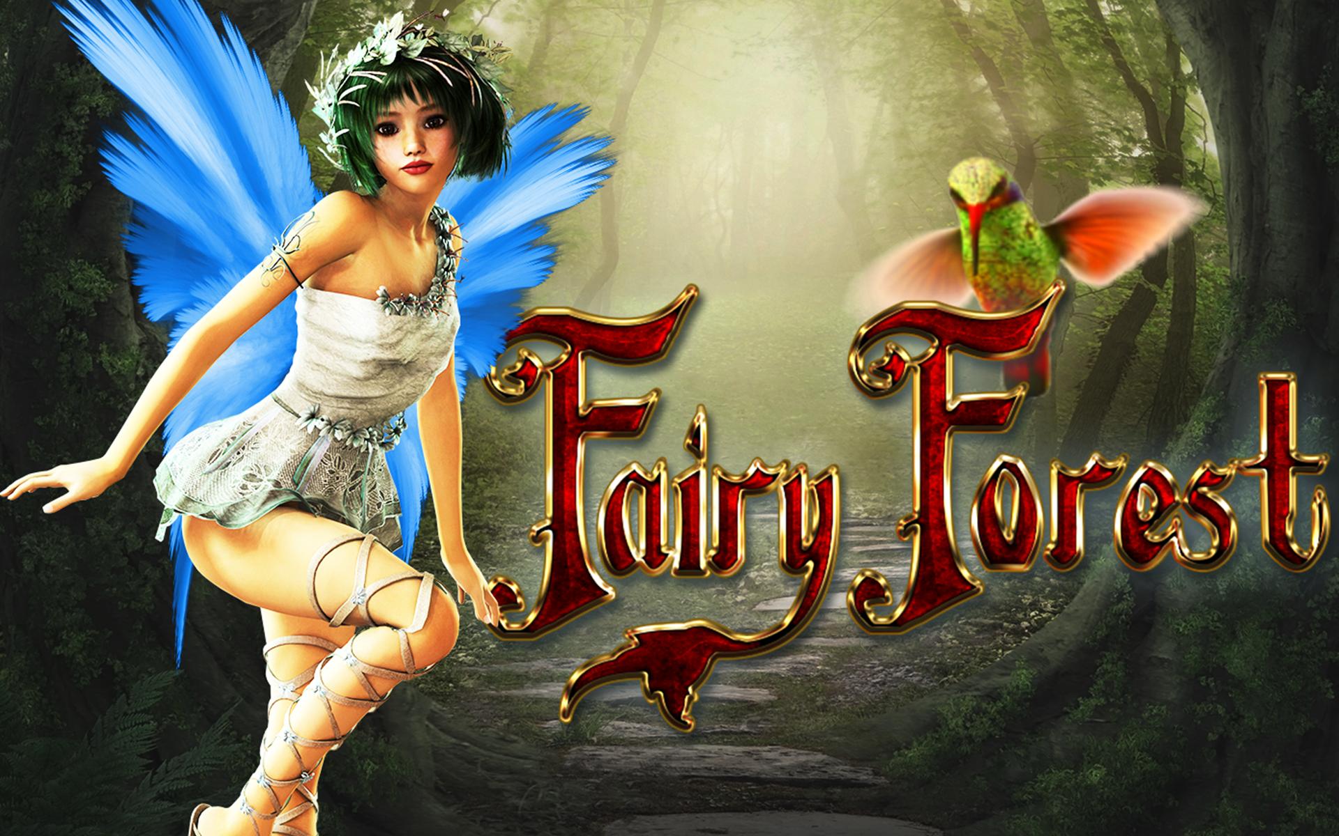 Fairies Forest Fairies Forest